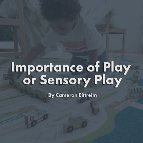 Importance of Play or Sensory Play (Montessori)
