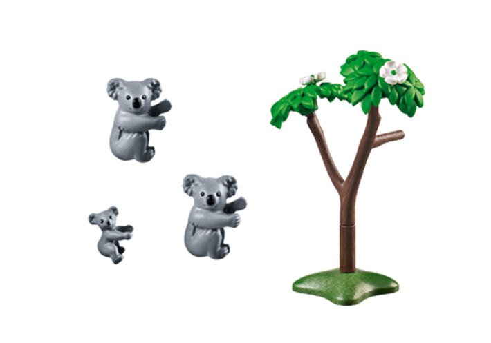 6654 Koala Family